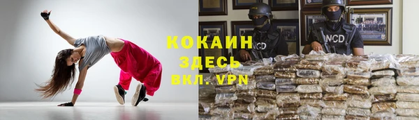 винт Абаза
