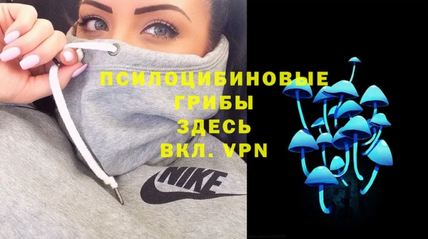 скорость Алзамай