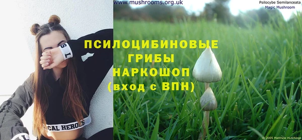 ALPHA-PVP Алексин