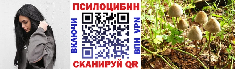 Псилоцибиновые грибы мухоморы  Котельнич 